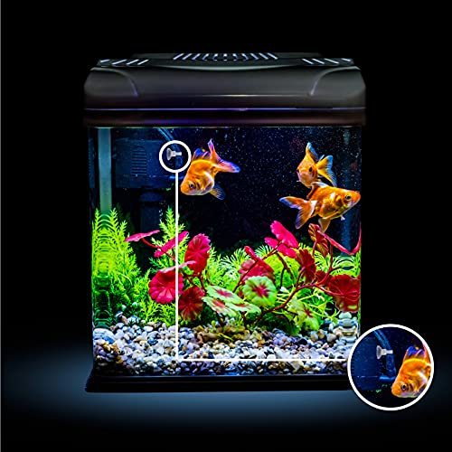 TEHAUX 20 PCS Aquarium Ventosas Ventosas Clipes de Tubos de Mão Braçadeiras Tampão Bomba de Sucção d