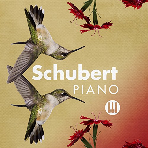 Play Schubert Piano by Franz Schubert & VARIOUS ARTISTS on Amazon Music