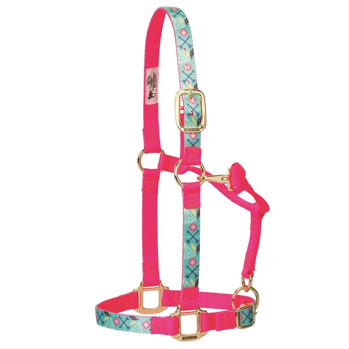 Weaver Leather Cavezza regolabile in nylon per cavalli, cactus, cavallo medio