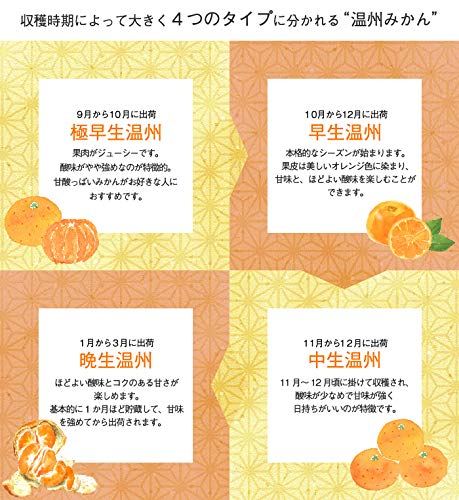 Amazon.co.jp: みかん 温州みかん 産地厳選 秀品 3L～Sサイズ 10kg