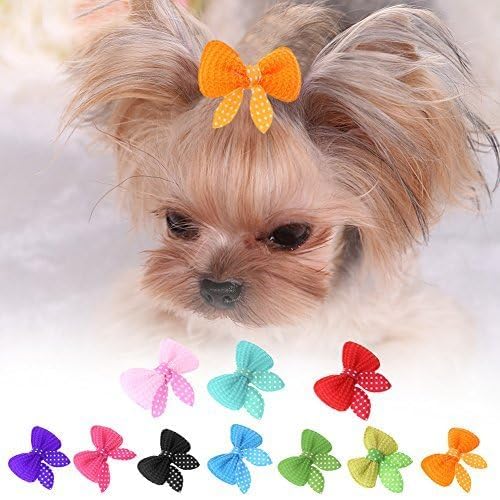 Cawhui 10Pcs Broadroot Hair Clips for Dogs and Cats Pet Bow Hair Accessories