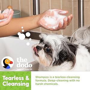 The Dodo Deodorizing Shampoo & Spray Twin Pack for Dogs; 12oz Deodorizing Dog Shampoo + 12oz Deodorizing Dog Spray with Charcoal; Vegan, Cruelty-Free, No DEA, MEA, SLS or Parabens