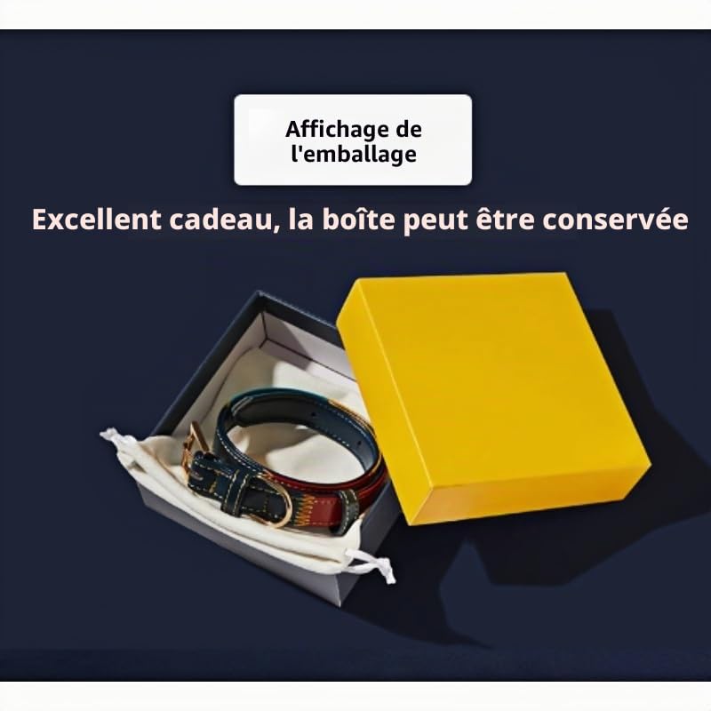 Collier en cuir personnalisé pour animal de compagnie avec plaque nominative gravée, convient pour les chats et les petits chiens