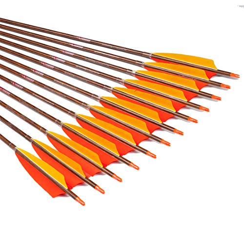 Linkboy Archery Carbon Arrows Hunting Shooting Arrows Wood Skin Shaft Traditional Looking Turkey Feather Removable Tip For Compound Recurve Long Traditional Bow Spine 450 32 Inch Pack Of 12Pcs #TOP1