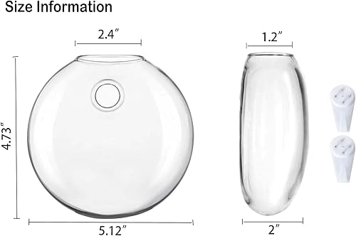 Miniatura 6 de Kingbuy Maceteros de vidrio para colgar en la pared, estación de propagación de globo oblato, jarrones de flores para montar en la pared, perfectos