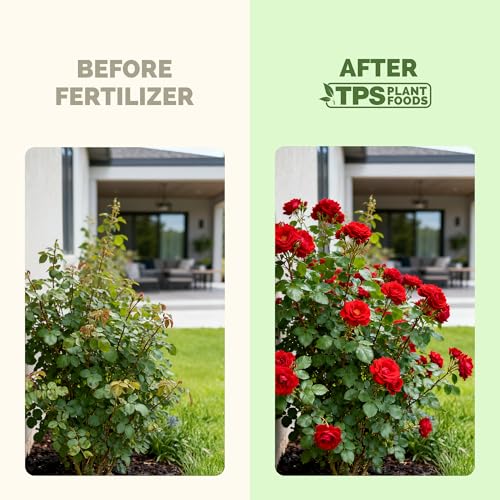 Fertilizante líquido para rosas 8 oz miniatura 3
