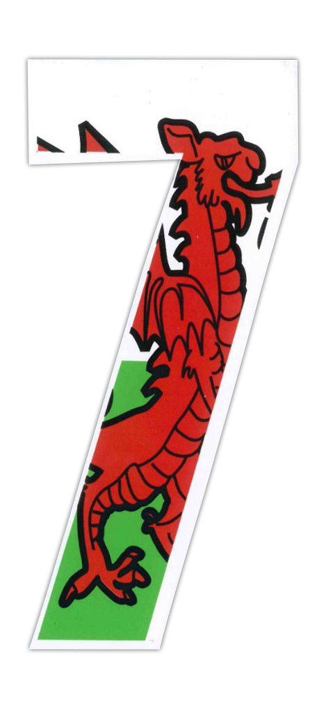 Wheelie Bin Numbers Welsh Dragon 7