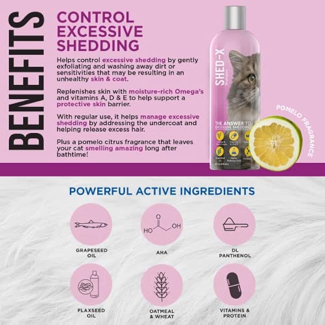Shed-X Shed Control Shampoo for Cats, 8 oz ¨C Reduce Shedding ¨C Shedding Shampoo Infuses Skin and Coat with Vitamins and Antioxidants to Clean, Release Excess Hair and Exfoliate-v36RpFuO
