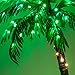 Kringle Traditions 7-Ft 10-Function LED Lighted Palm Tree - Pre-Lit Artificial Palm Tree Decor - Remoted Controlled with Timer