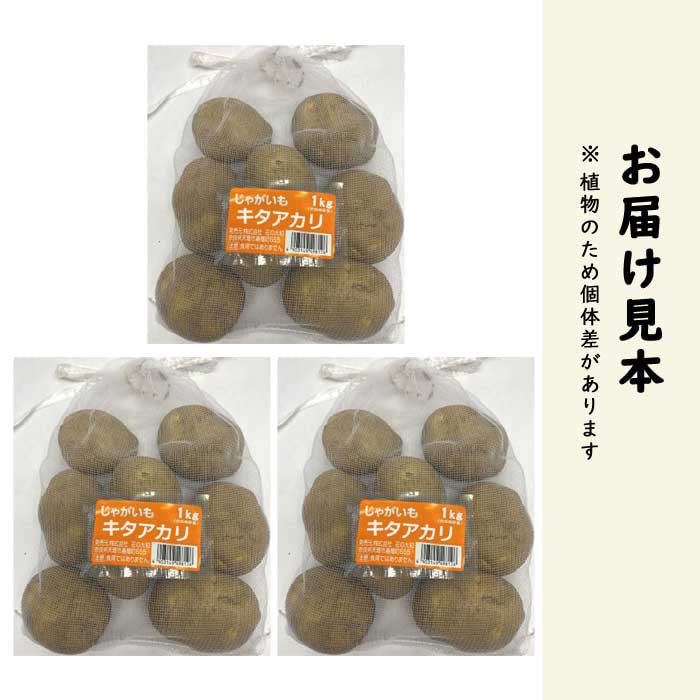 北海道産 じゃがいも 種芋 キタアカリ サイズS〜SS 15kg前後 300玉位 2026年最新】キタアカリ種芋の人気アイテム - メルカリ