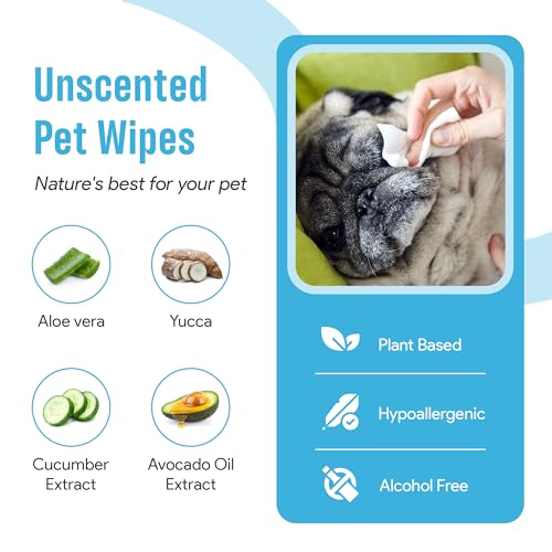 Unscented Pet Wipes for Paws Butt Ear and Eyes | Extra Thick Organic Dog Wipes Cleaning Deodorizing | 400 Wipes for Dogs | Bonus Glove Wipes Included Unscented Pet Wipes for Paws Butt Ear and Eyes | Extra Thick Organic Dog Wipes Cleaning Deodorizing | 400 Wipes for Dogs | Bonus Glove Wipes Included
