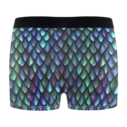 Men's Underwear Dragon Scale Boxer Briefs Soft Comfort Short Leg Trunks S-XXL3