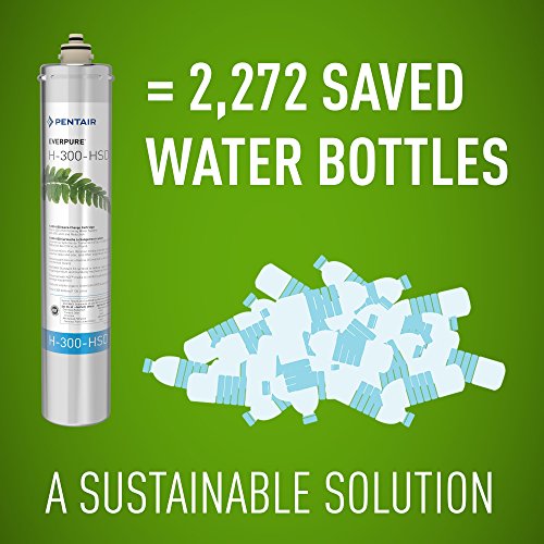 Pentair filtration system commercial