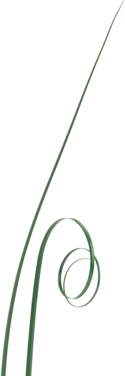 50 STRANDS GREEN BEAR GRASS LEAF ONION WEDDING CUPCAKES CAKE TOPPER