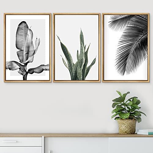Signwin Framed Canvas Print Wall Art Trio Of Jungle Palms & Snake Succulents Floral Plants Photography Modern Art Minimalist Black And White For Living Room, Bedroom, Office - 16"X24"X3 Natural #TOP2