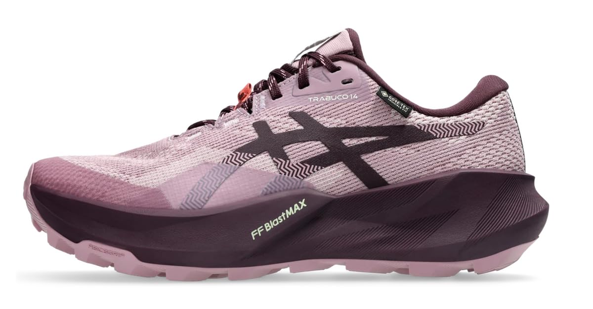 ASICS Damen Trabuco 14 GtxRunning Shoes