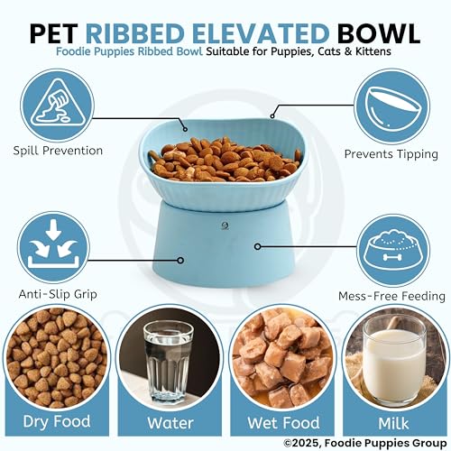 Image of Foodie Puppies Pet Elevated Raised Bowl for Cats, Kittens, and Puppies - (Ribbed Bowl, Blue) | 45 Degree Tilted | Cat Food and Water Feeding Bowl | Anti Vomiting, Stress-Free, Durable
