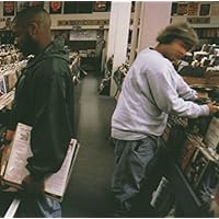 Endtroducing.....