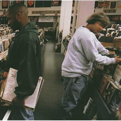 Endtroducing.....