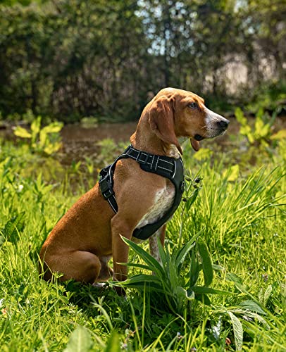 lionto Hundegeschirr gepolstert aus weichem Nylon, Größe M, reflektierendes Anti Zug Geschirr für Hunde mit 2 Ringen & 4 Einstellgurten, Zwei Klickverschlüsse & gummierter Griff am Rücken, schwarz