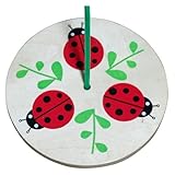 Sassaras Ladybug Rope Swing