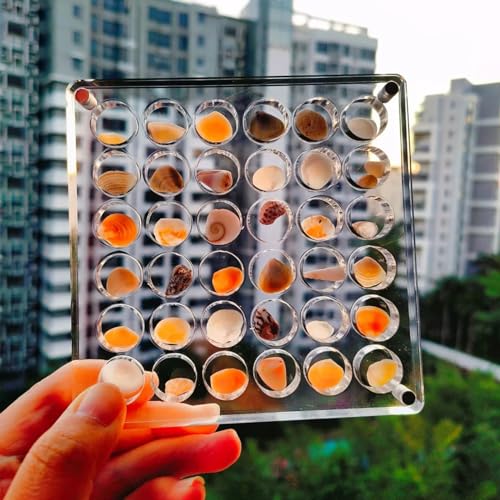 Siluyado Acrylic Magnetic Seashell Display Box, Mini Seashell Display Case, Containers to Display Seashells, Crystal Seashell Display Organizer Box Holder for Gemstone Diamond-(36 Round Grid)