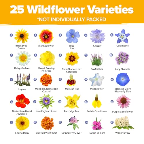 Image of HOME GROWN USA Wildflower Seeds Bulk Mix | 44,000 Non-GMO Perennial Flower Seed for Full Sun & Shade | 19 Varieties for Butterfly & Pollinator Garden | 2 oz