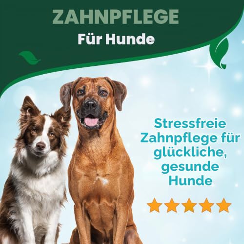 Vet's Best Atemerfrischer Wasserzusatz für Hunde - Minzgeschmack 500ml