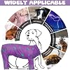 IDOMIK Pajamas, Soft Pjs Clothes With Zipper, Breathable Shirts for Boys Girls, Apparel Onesie, Recovery Suit for Small Medium Large Dogs, Anxiety Relief Onesies Purple, S