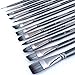 Transon Artist Paint Brush Set of 12 for Watercolor Acrylic Gouache Oil and Tempera Painting