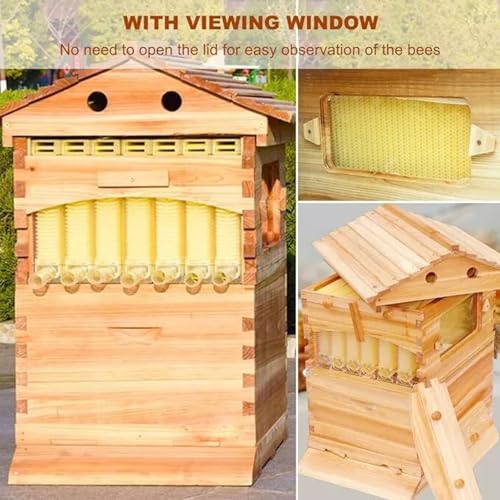 Goyojo F0-B0Y9-LUA5 Self-Flowing Honey Bee Hive Set thumb #4