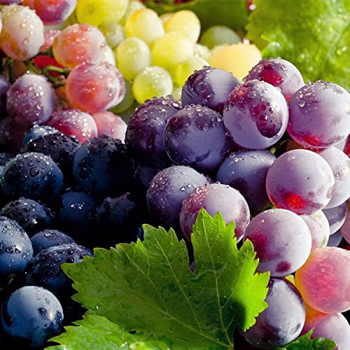300Pcs Mixed Grape Seeds For Planting Sweet Grape For Wine Making Fruit Dessert #TOP3