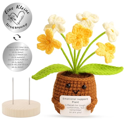 ZVBRSKM Glücksbringer, Mutmacher Geschenk Blume Mit Münze, Anti Stress Geschenk Für Frauen, Aufmunterung Geschenke Für Freundin Und Kollegen, Trost Geschenk Bei Emotionaler Belastung