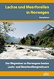  Lachse und Meerforellen in Norwegen: Der Wegweiser zu Norwegens besten Lachs- und Meerforellengewässern
