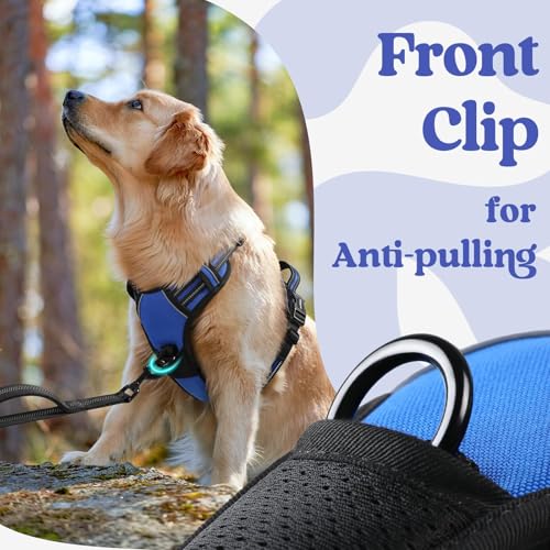 rabbitgoo Dog Harness for Large, Updated Easy On & Off with 3 Buckles | No Pull No Choke, Walking with 2 Clips and Handle, Adjustable Soft Reflective, Blue, Large - Image 7