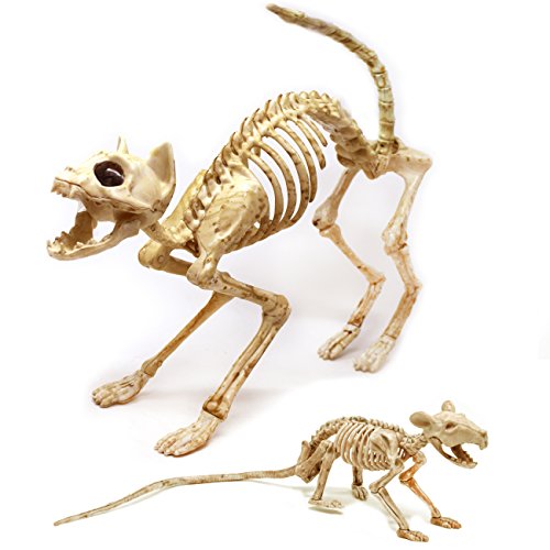 Spooktacular Creations Skeleton Cat & Rat Skeleton for Halloween Skeleton Animal Decorations, Skeleton Yard Décor and Reaper Bones Animals