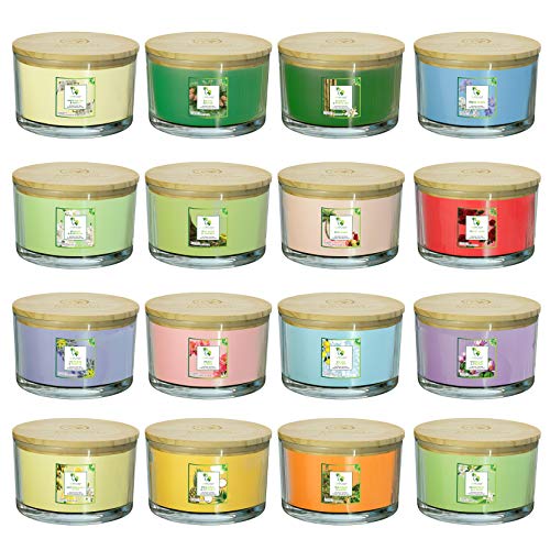 Cocosoy Organic Candles Hand Poured Natural Flower Extracted Fragrance Oils "Sea Salt & Citrus" Botanical Candles For Aromatherapy Home Scent 18 Oz Jar 1-Pack Beautiful Xmas Gift Box #TOP6