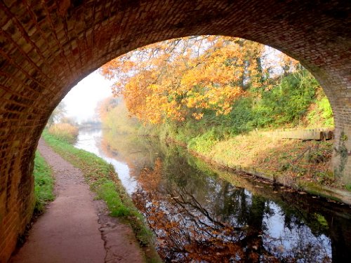 Meandering on Rivers and Canals in Devon. (Meandering Walking Series. Book 3)
