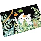 employés de bureau, étudiants et jeunes qui aiment les activités de plein air Convient pour les trajets en campus et les voyages touristiques Composant en alliage d'aluminium de haute résistance, durabilité et poids léger Apparences tendance, polyval...