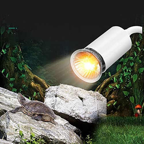 Lampada Tartarughe Illuminazione,Lampada