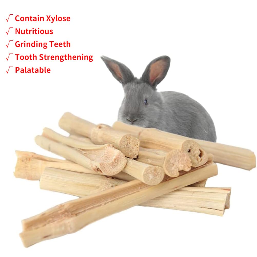 Bastoncini Di Legno Di Melo Per Animali | 40 Pezzi | Giocattolo Da Masticare Per Conigli, Criceti, Cavie | Naturale - Foto 4