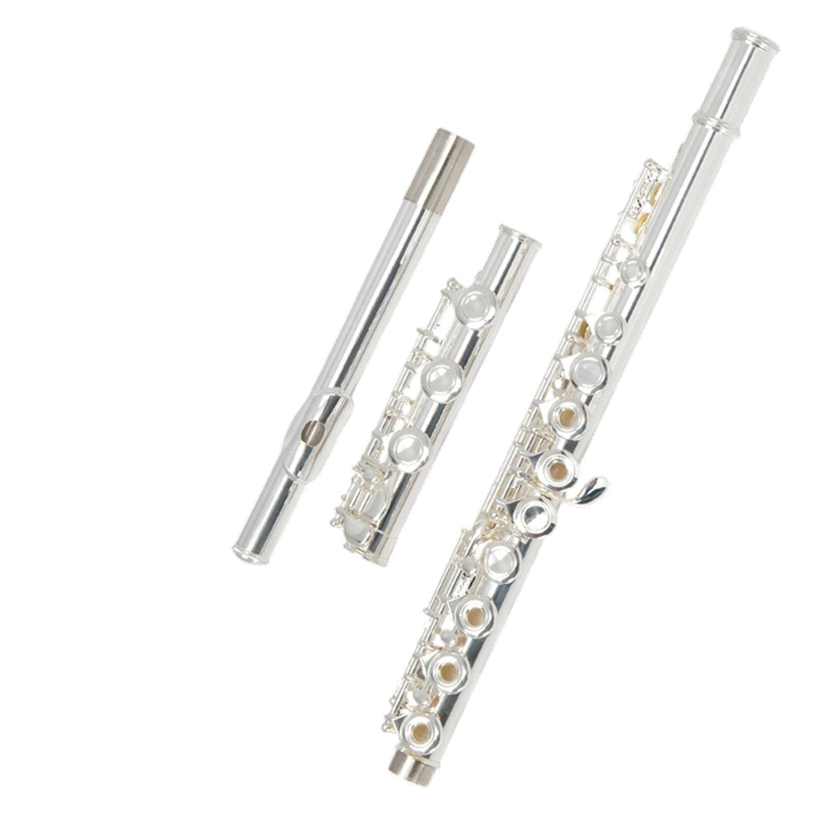 Flute Flauta C de 17 hoyos