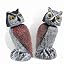 Round ears and pointed ears sensing owl