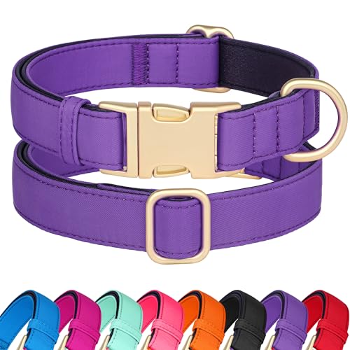 Collier chien violet M Didog rembourré imperméable - 2