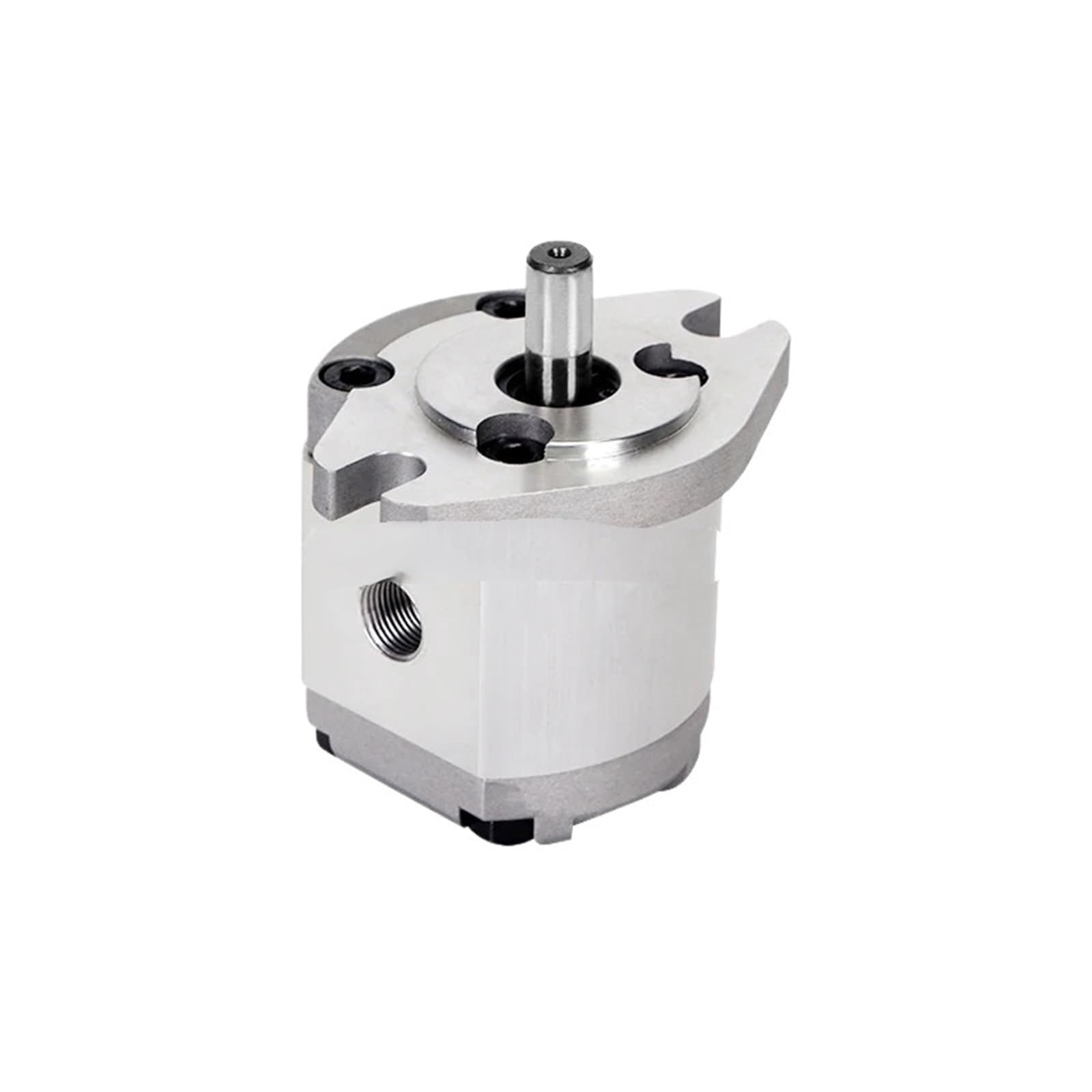 Kxiwlufv One Color Hydraulic Gear Pump High Pressure Oil Hgp-1A-F4r(Hgp-1A-F4r)