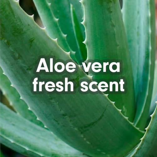 Image of Softsoap Moisturizing Liquid Hand Soap, Soothing Clean Aloe Vera - 7.5 Fl Oz (Pack of 6)