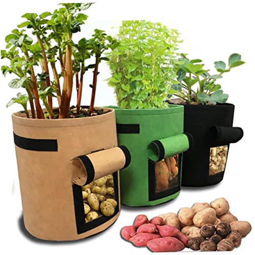 SUPVOX Lot De 3 Sachets De Plantation De Pommes De Terre pour La Culture De Patates Douces en Tissu Non Tissé Noir