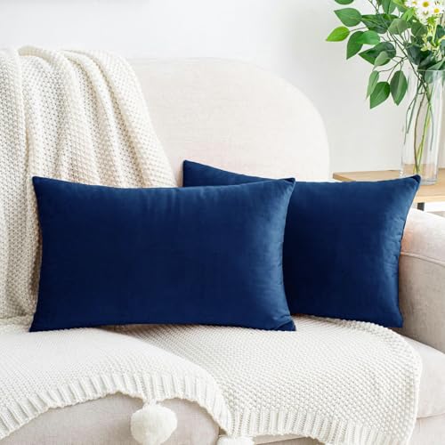 HWY 50 Navy Blue Velvet Rectangular Throw Pillow Covers 12x20 Inch, Pack of 2 Soft Cozy Solid Decorative Luxury Cushion Cases for Couch Sofa Bed Living Room Bedroom