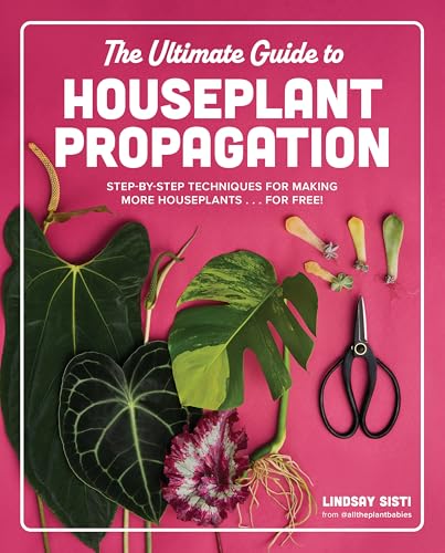The Ultimate Guide to Houseplant Propagation: Step-by-Step Techniques for Making More Houseplants . . . for Free!
