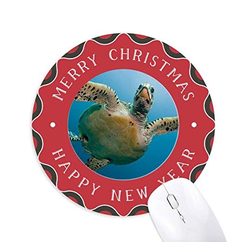 I[Vu[̐J̉Ȋw͎R̎ʐ^ ~`S̃NX}X}EXpbh